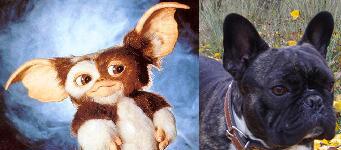 PARECIDOS RAZONABLES XI