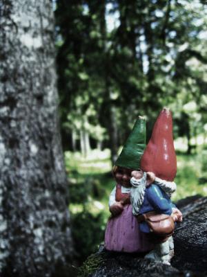 pineta loveparade&acute;07 loka extreme excursion